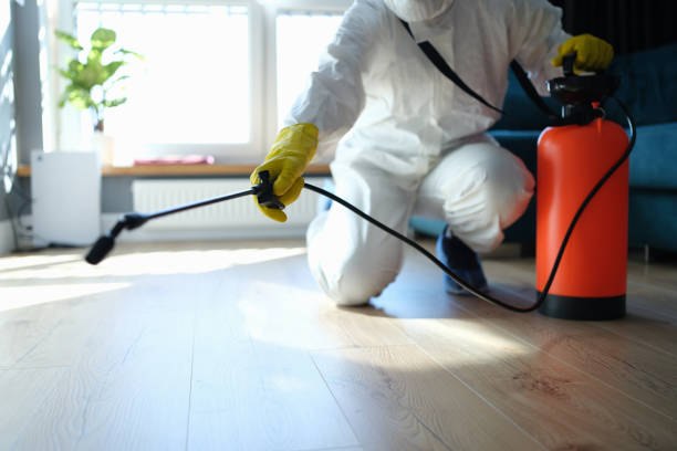 Reliable Infectious Disease Decontamination contractor in Springville, VA by Trauma Clean Pros